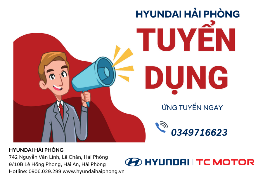 lĩnh vực hoạt động